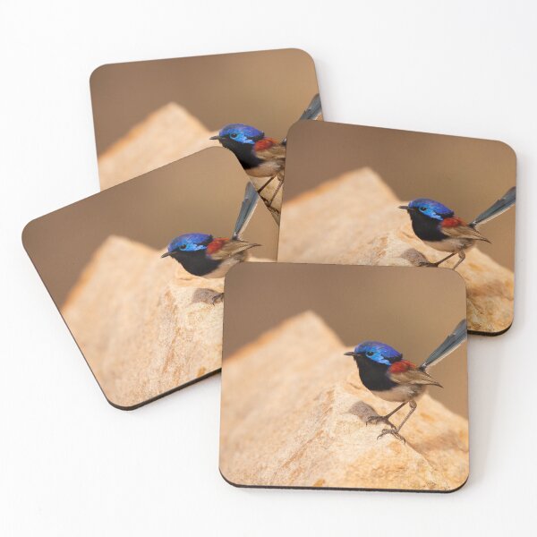 Item preview, Wren On The Range designed and sold by CBoyle.
