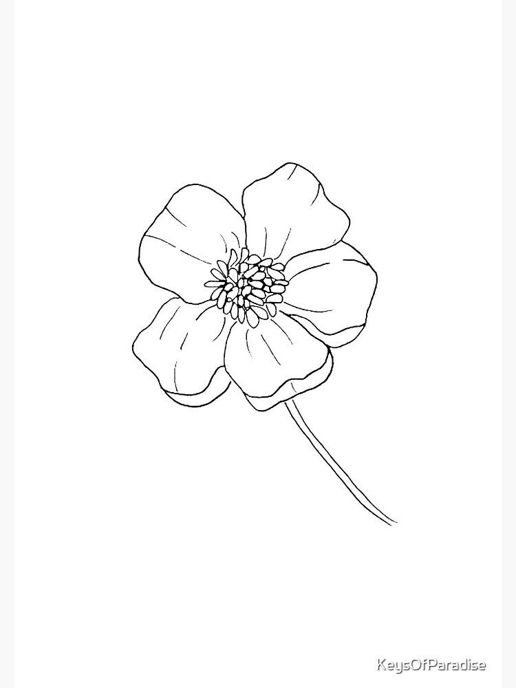 Hand Drawn Buttercup Floral Greeting Card Background Stock