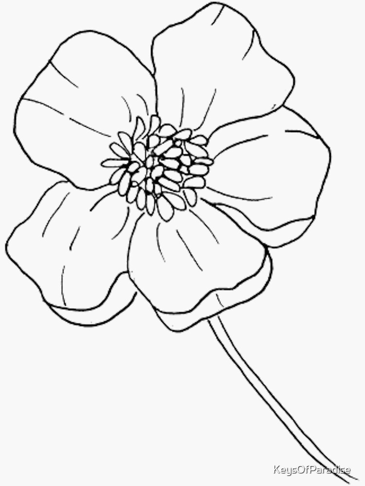 buttercup flower tattoo outline