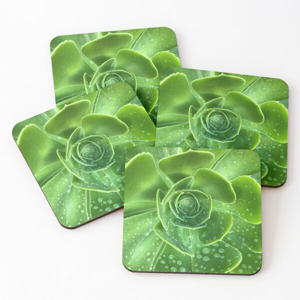 Item preview, Succulent designed and sold by GreenNote.