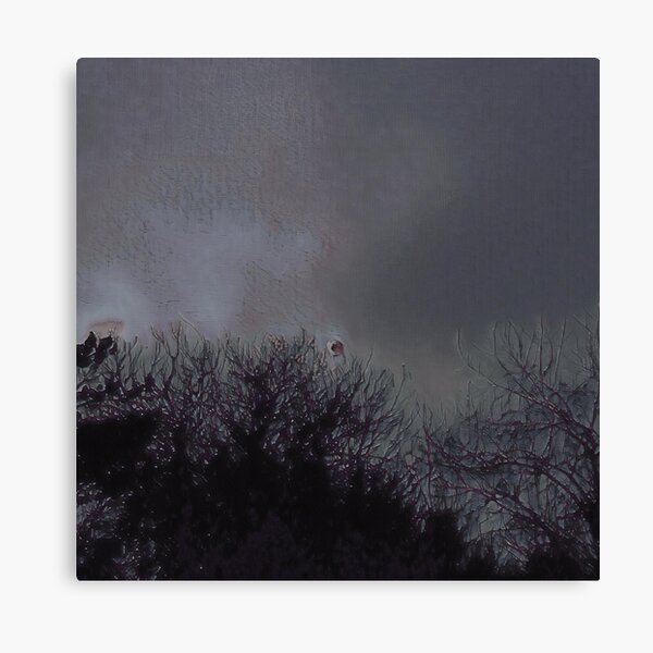 Dark Sky III Canvas Print