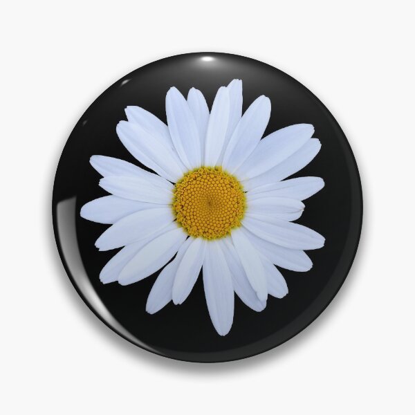 Item preview, Daisy Delight (Black) designed and sold by DaniRoberts.