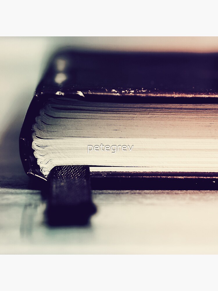 Day 138 - 25th November 2011 by petegrev