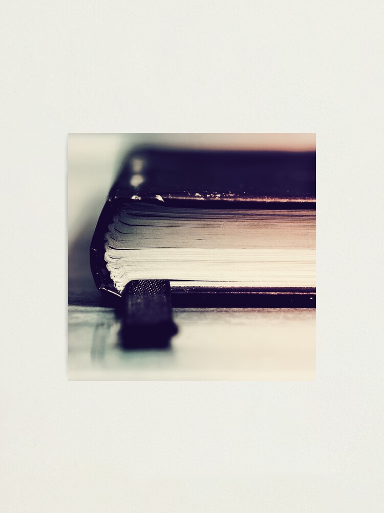 Alternate view of Day 138 - 25th November 2011 Photographic Print