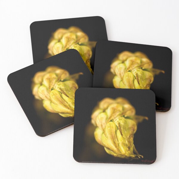 Item preview, Nature's Biological Engineering and Design (2) designed and sold by Wolf Sverak Photography.