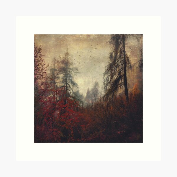 Item preview, the day you went away - misty mountain forest with birds designed and sold by Dyrk Wyst Redbubble Shop.