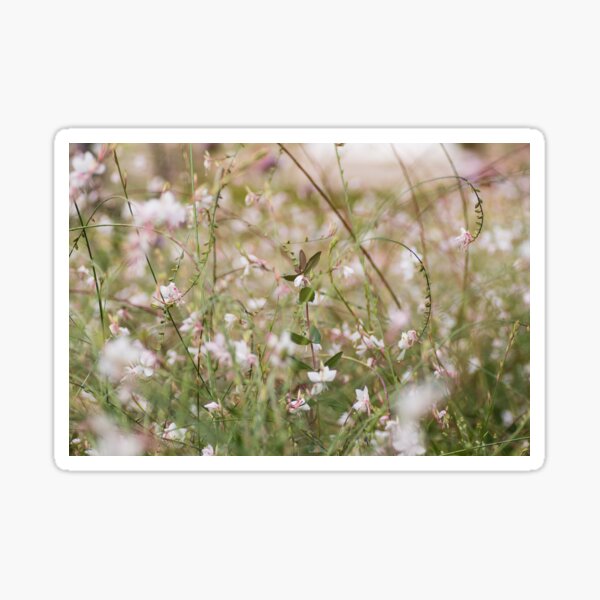 White dress Sticker
