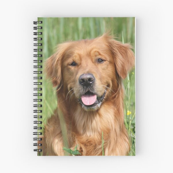 Item preview, Flores y un golden retriever designed and sold by GoldenPortrait.