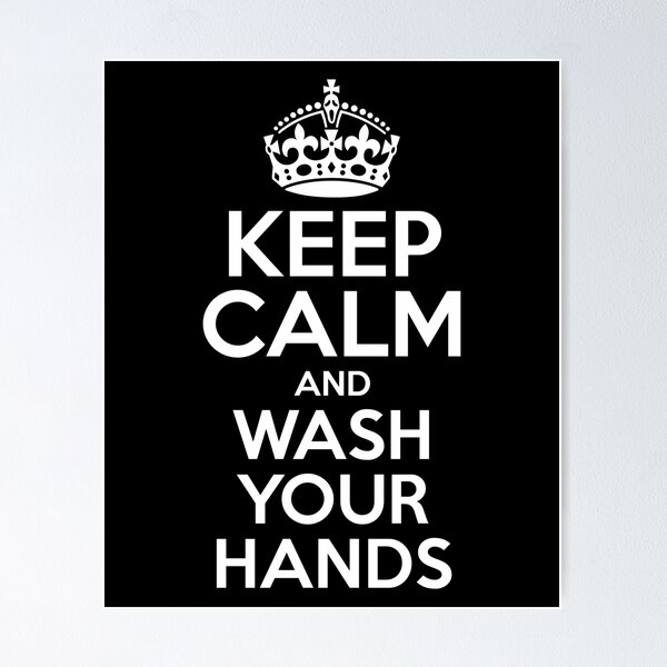 Keep Calm And Wash Your Hands Funny Virus Flu Influenza T-Shirt