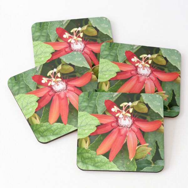 Item preview, "red passion" designed and sold by Andreas Koerner.