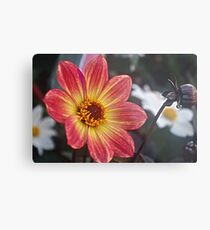 Flower with a bud Metal Print