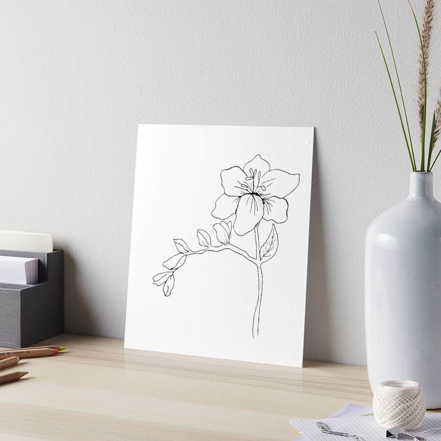 絵画 freesia  sizeF3 Freesia Flower Drawing