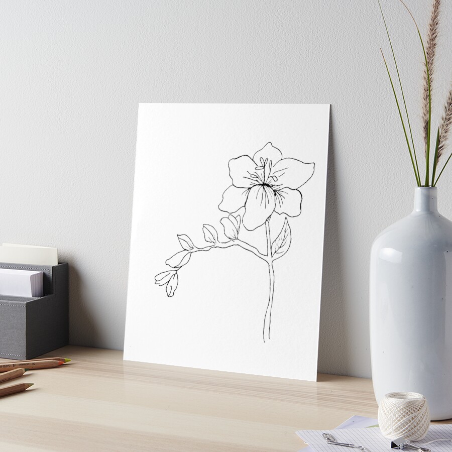 Freesia Flower Drawing Freesia Flower Drawing