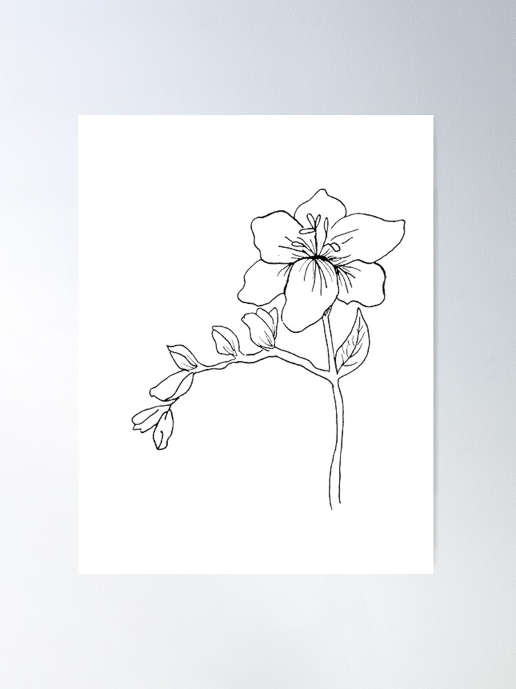 Freesia Art Print by Diane Cardaci The Sketch Hunter - Fine