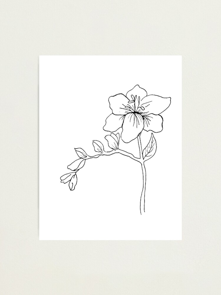 絵画 freesia  sizeF3 Freesia Flower Drawing