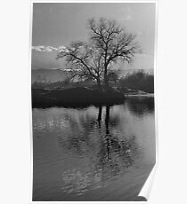 Twilight on Olt River Transylvania Poster