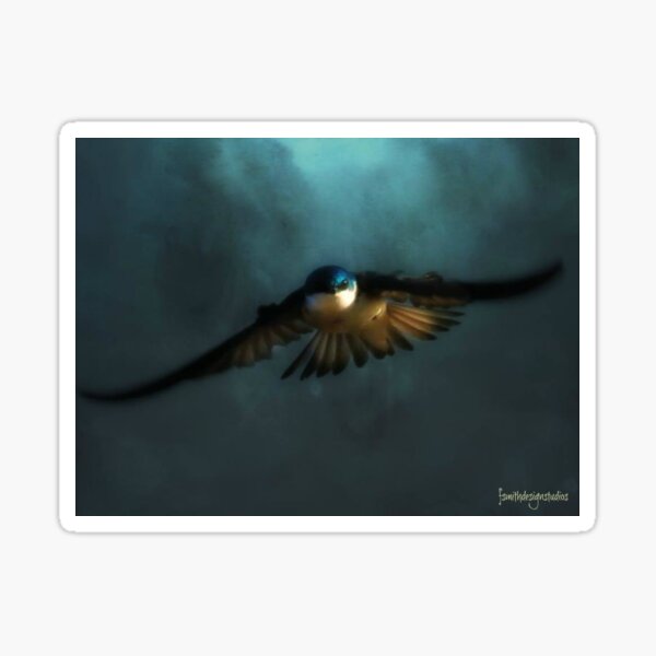 Item preview, Piloto de tormenta designed and sold by fsmithstudios.