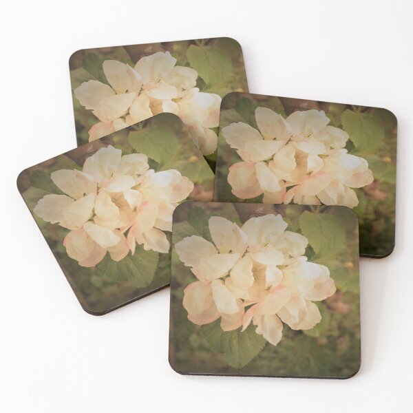 Item preview, Bloom designed and sold by IanFHill.