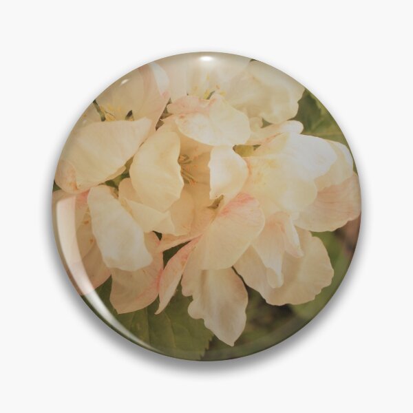 Item preview, Bloom designed and sold by IanFHill.