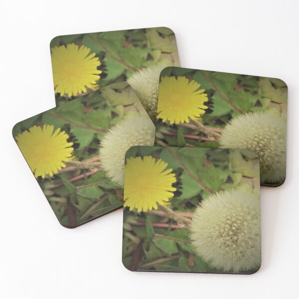 Item preview, Life and Death of a Dandelion designed and sold by IanFHill.