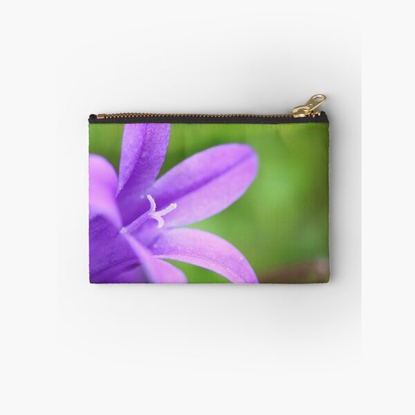 Item preview, Campanula macro designed and sold by Grégory DUBUS.