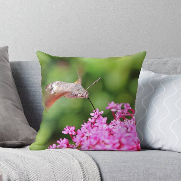 Item preview, Hummingbird Hawk moth on Valerian flower designed and sold by Grégory DUBUS.
