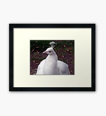 Well,Hello There.. Framed Print