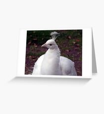 Well,Hello There.. Greeting Card