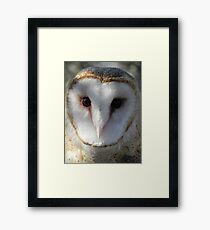 Who? Framed Print