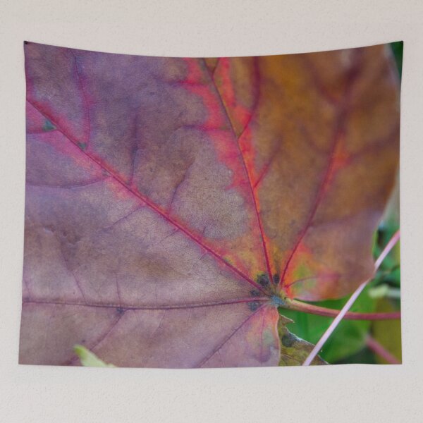 Item preview, Viens designed and sold by Susie Kramer.