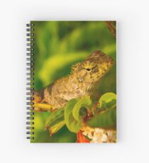 Cuaderno de espiral Leguan Echse 7870