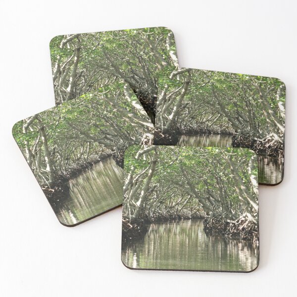Item preview, Central America, Caribbean, Honduras, Island, Roatan, Tree, Mangrove, Photography, BebiCervin designed and sold by BebiCervin.
