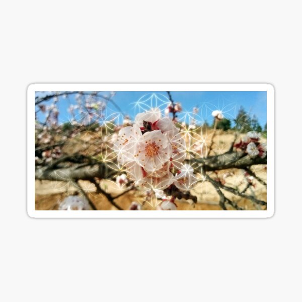 Flower of Life Sticker