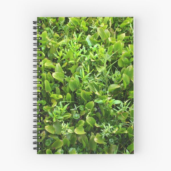 Item preview, Louisiana Marshland designed and sold by WisePhoto.