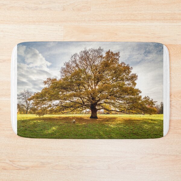 Item preview, Autumn Oak designed and sold by Geoff Carpenter.