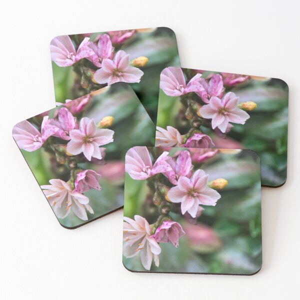Item preview, Rockery succulent in the rain designed and sold by Barbitastic.