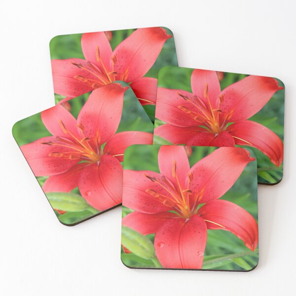 Item preview, Red Lily 2 designed and sold by Susie Kramer.