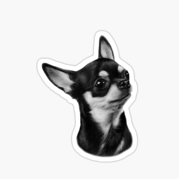 Cute Chihuahua Painting Sticker