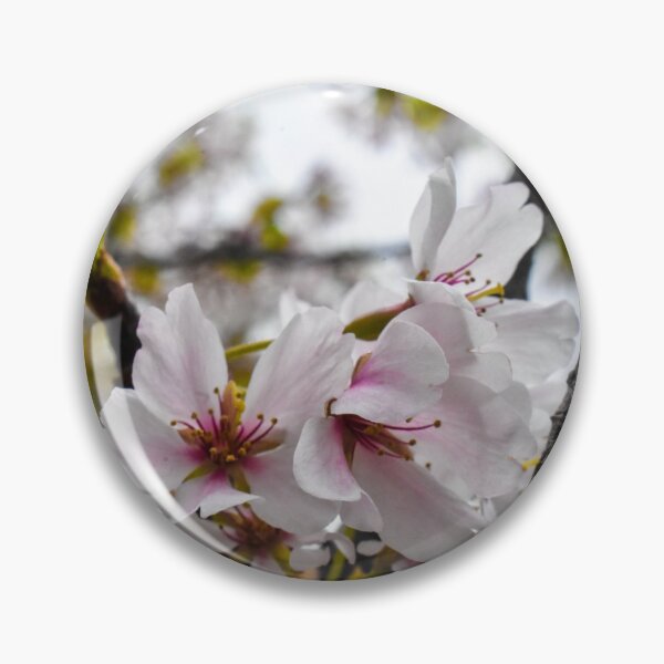Item preview, Cherry Blossoms designed and sold by cameraface.