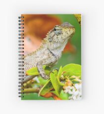 Cuaderno de espiral Leguan Echse 7797