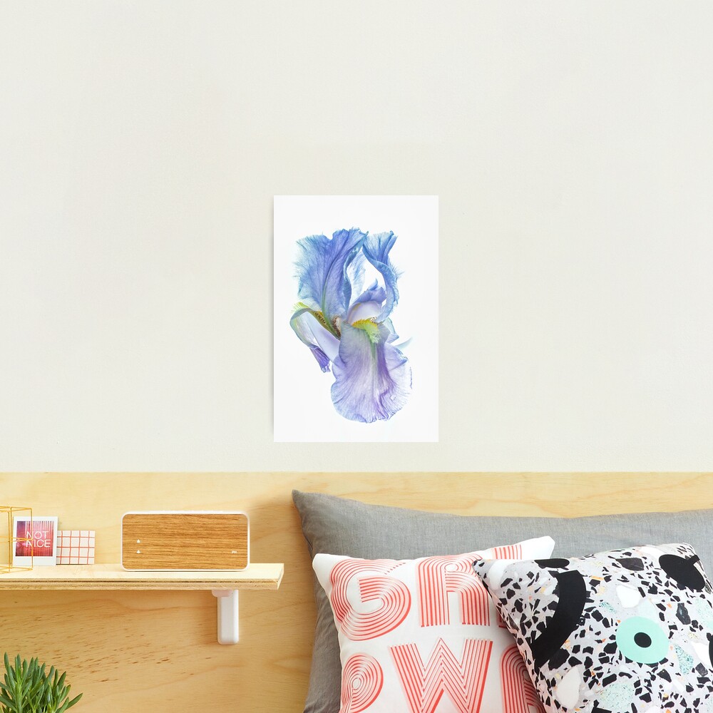 May I Have This Dance Photographic Print