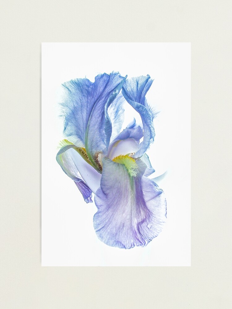 Alternate view of May I Have This Dance Photographic Print