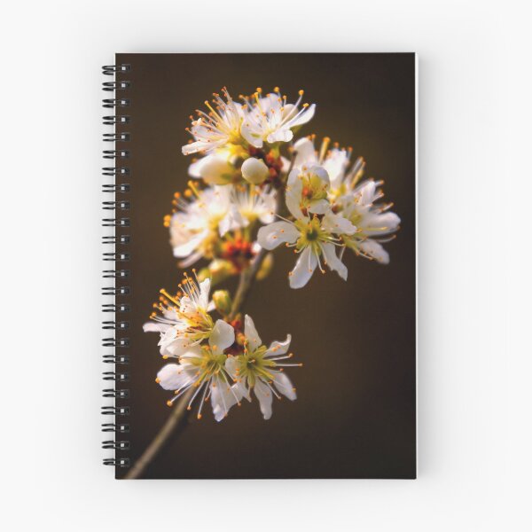 Item preview, Blossom designed and sold by JEZ22.