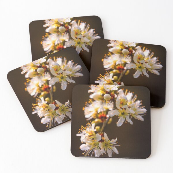 Item preview, Blossom designed and sold by JEZ22.