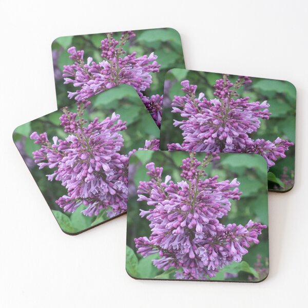 Item preview, Lilac designed and sold by Susie Kramer.