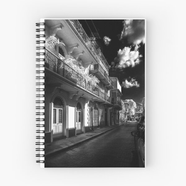 Item preview, Old Quarters of Panama - Casco Viejo de Panama designed and sold by Bernai Velarde.