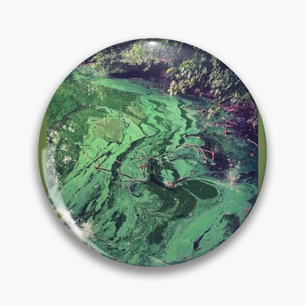 Item preview, Algae designed and sold by VikMach.