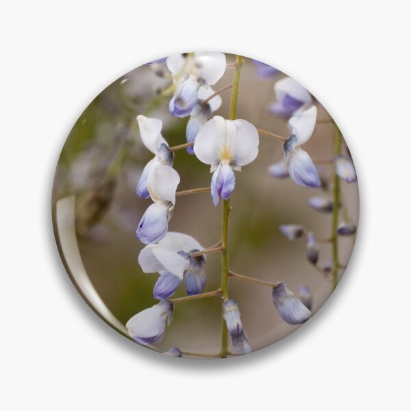 Item preview, Purple Wisteria in bloom designed and sold by NatashaBalletta.