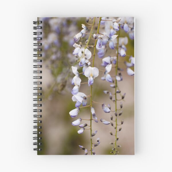 Item preview, Purple Wisteria in bloom designed and sold by NatashaBalletta.