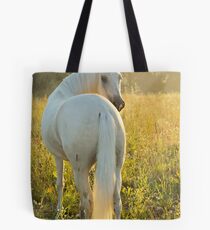 Paso Fino horse in the morning Tote Bag